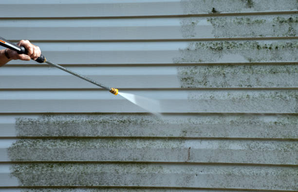Best Roof Cleaning and Mildew Removal in Elma Center, NY